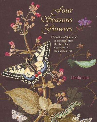 Бумажная книга «Four Seasons of Flowers: A Selection of Botanical Illustrations from the Rare Book Collection at Dumbarton Oaks», автор Линда Лотт - фото №1