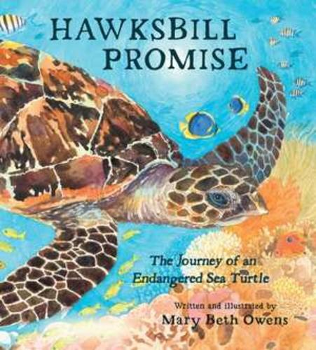 [object Object] «Hawksbill Promise: The Journey of an Endangered Sea Turtle», автор Мері Бет Оуенс - фото №1