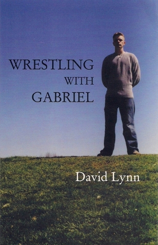 Паперова книга «Wrestling with Gabriel», автор Девід Лінн - фото №1