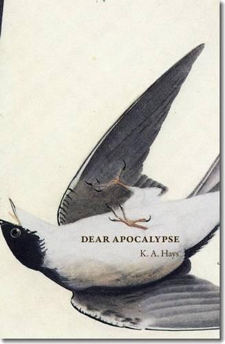Паперова книга «Dear Apocalypse», автор К. А. Хейс - фото №1