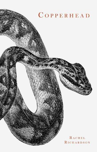 Бумажная книга «Copperhead», автор Рэйчел Ричардсон - фото №1