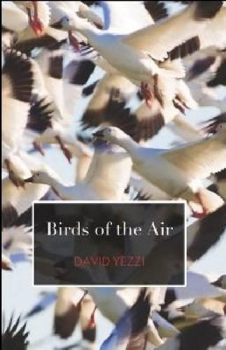 Бумажная книга «Birds of the Air», автор Дэвид Йеззи - фото №1