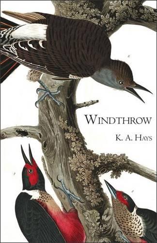 Паперова книга «Windthrow», автор К. А. Хейс - фото №1