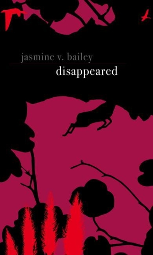 Паперова книга «Disappeared», автор Жасмін В. Бейлі - фото №1