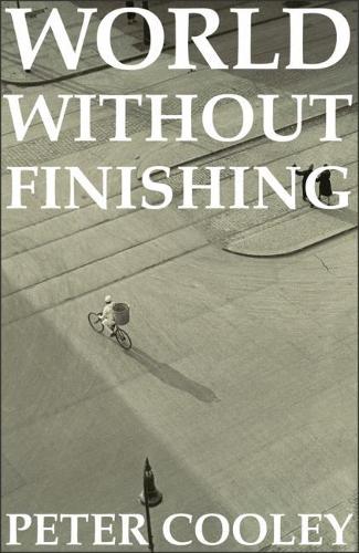 Бумажная книга «World Without Finishing», автор Питер Кули - фото №1