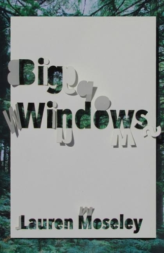Бумажная книга «Big Windows», автор Лорен Мозли - фото №1
