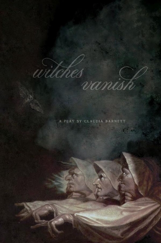 Бумажная книга «Witches Vanish», автор Клаудия Барнетт - фото №1
