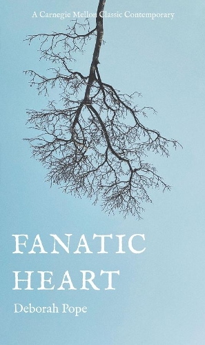Паперова книга «Fanatic Heart», автор Дебора Поуп - фото №1