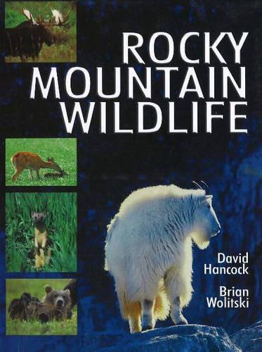 Бумажная книга «Rocky Mountain Wildlife», авторов Брайан Волицки, Дэвид Хэнкок - фото №1