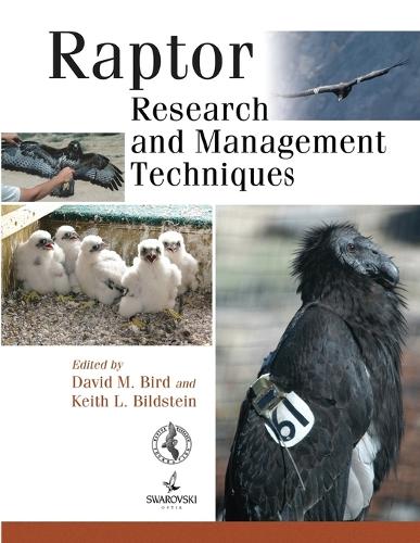Бумажная книга «Raptor Research and Management Techniques», автор Дэвид М. Берд - фото №1
