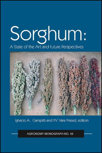 Бумажная книга «Sorghum: State of the Art and Future Perspectives», авторов Игнасио А. Чампитти, Р. В. Вара Прасад - фото №1