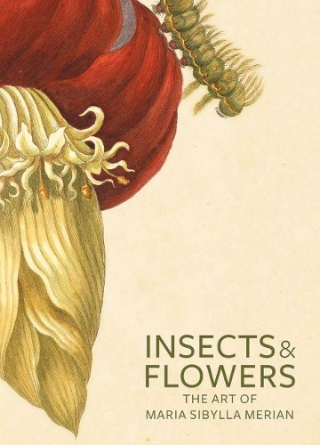 Бумажная книга «Insects and Flowers – The Art of Maria Sibylla Merian», автор Брафман - фото №1