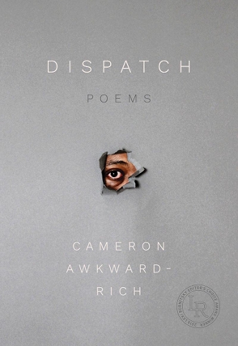 Паперова книга «Dispatch: Poems», автор Кемерон Овквард Річ - фото №1