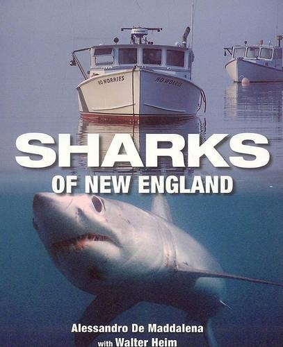 Бумажная книга «Sharks of New England», автор Алессандрао Де Маддалена - фото №1
