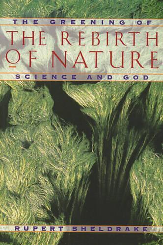 Паперова книга «Greening of the Rebirth of Nature Science and God: The Greening of Science and God», автор Руперт Шелдрейк - фото №1