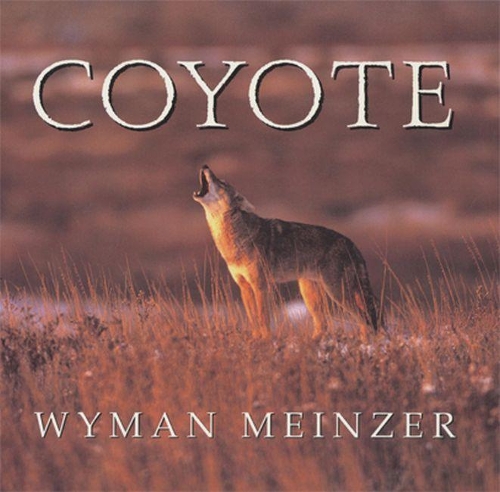 Бумажная книга «Coyote», автор Уайман Майнцер - фото №1