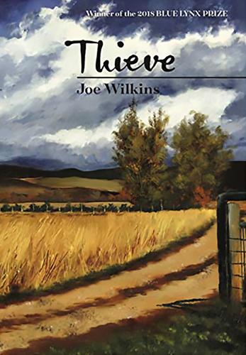 Бумажная книга «Thieve», автор Джо Уилкинс - фото №1