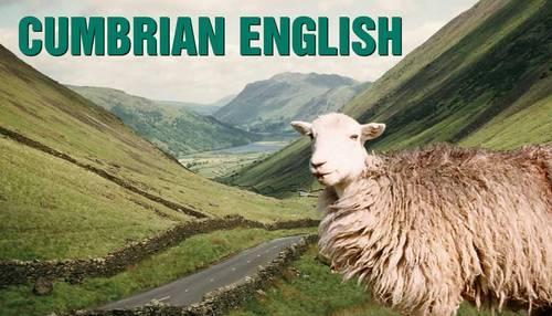 Бумажная книга «Cumbrian English», авторов Бетси Белл, Уильям Белл - фото №1