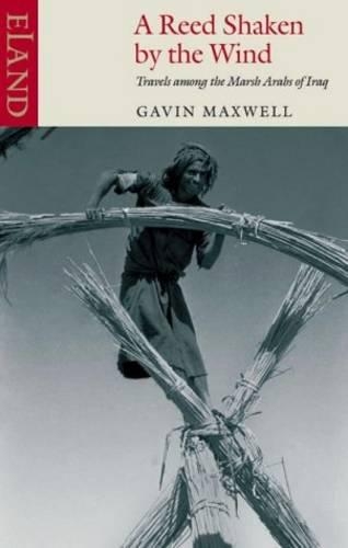 Бумажная книга «A Reed Shaken by the Wind: Travels Among the Marsh Arabs of Iraq», автор Гэвин Максвелл - фото №1