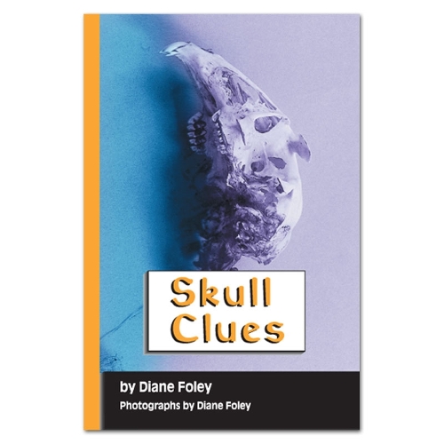 Бумажная книга «Skull Clues», автор Дайан Фоули - фото №1