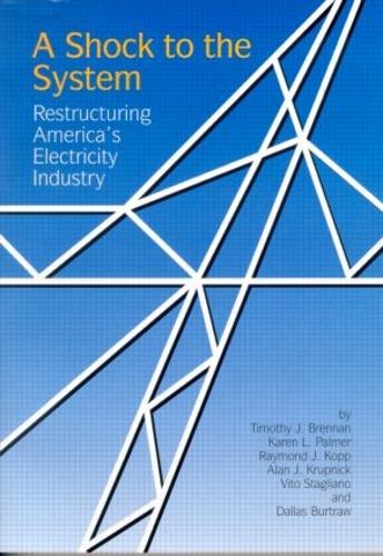 Паперова книга «A Shock to the System: Restructuring America's Electricity Industry», автор Тімоті Дж. Бреннан - фото №1