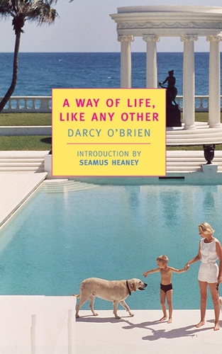 Бумажная книга «A Way Of Life  Like Any Other», автор Дарси О'Брайен - фото №1