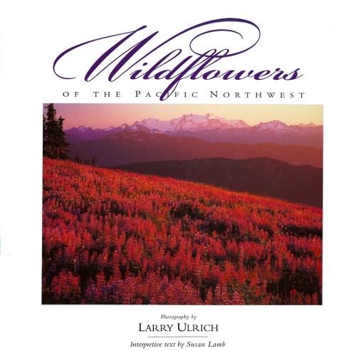 Бумажная книга «Wildflowers of the Pacific Northwest», автор Сьюзен Лэмб - фото №1