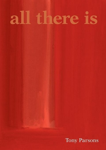 Бумажная книга «All There is», автор Тони Парсонс - фото №1