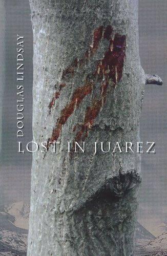 Паперова книга «Lost in Juarez», автор Дуглас Ліндсей - фото №1