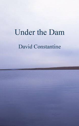 Паперова книга «Under the Dam: and other stories», автор Девід Константін - фото №1