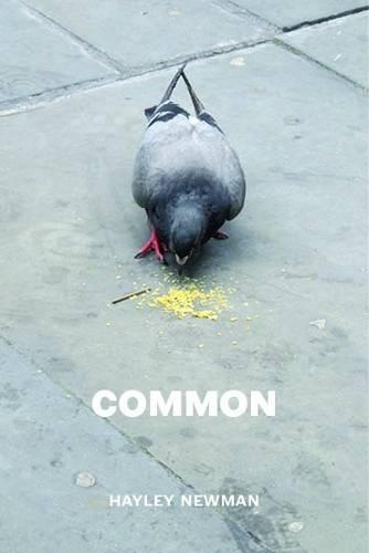 Бумажная книга «Common», автор Хейли Ньюман - фото №1