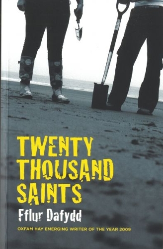 Паперова книга «Twenty Thousand Saints», автор Ффлур Дафідд - фото №1