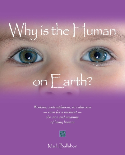 Бумажная книга «Why is the Human on Earth?: Working Contemplations», автор Марк Баллабон - фото №1