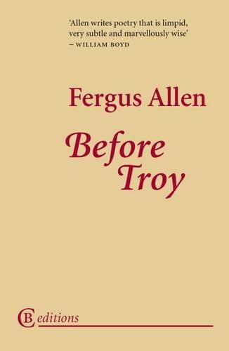 Бумажная книга «Before Troy», автор Фергус Аллен - фото №1