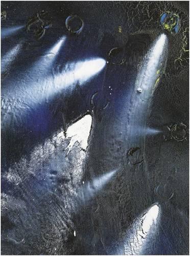 Паперова книга «Shaun Gladwell: Cycles of Radical Will», авторів Жан Вейнрайт, Річард Грейсон, Саймон Різ - фото №1