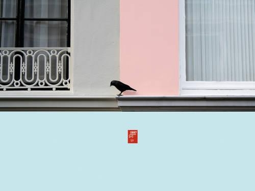 Бумажная книга «Bloomberg New Contemporaries 2011», авторов Питер Осборн, Саша Крэддок - фото №1