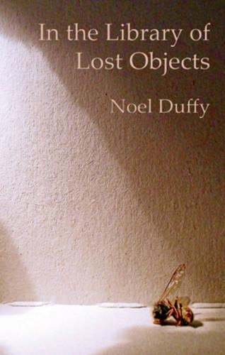 Бумажная книга «In the Library of Lost Objects», автор Ноэль Даффи - фото №1