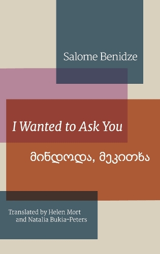 Бумажная книга «I Wanted To Ask You», автор Саломе Бенидзе - фото №1