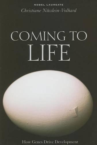 Бумажная книга «Coming to Life: How Genes Drive Development», автор Кристиана Нюсляйн-Вольгард - фото №1