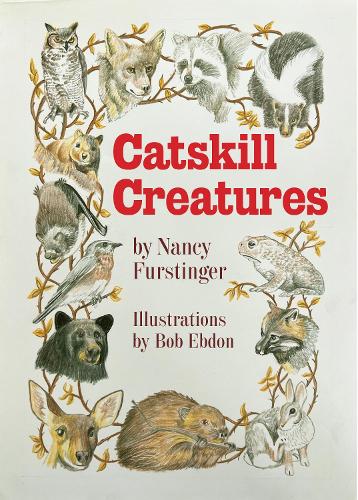 Паперова книга «Catskill Creatures», автор Ненсі Ферстінгер - фото №1
