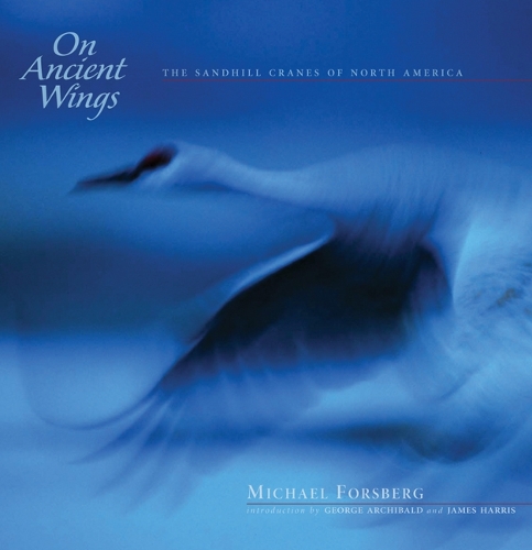 Бумажная книга «On Ancient Wings: The Sandhill Cranes of North America», автор Майкл Форсберг - фото №1