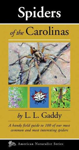Бумажная книга «Spiders of the Carolinas: A handy field guide to 100 of our most common and interesting spiders» - фото №1