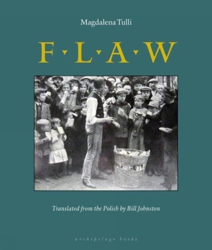Бумажная книга «Flaw», автор Магдалена Тулли - фото №1