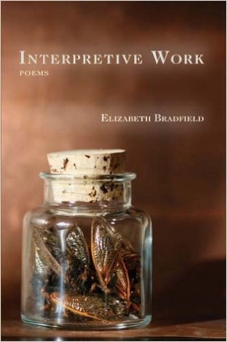 Паперова книга «INTERPRETIVE WORK», автор Елізабет Бредфілд - фото №1