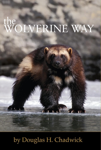 Бумажная книга «The Wolverine Way», автор Дуглас Х. Чедвик - фото №1