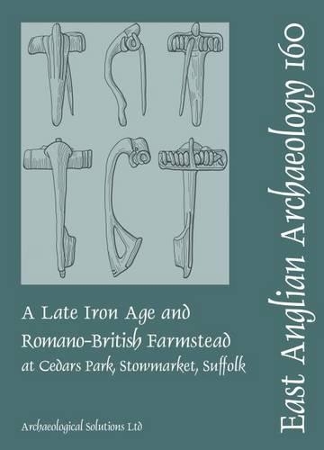 Паперова книга «EAA 160 A Late Iron Age and Romano-British Farmstead at Cedars Park, Stowmarket, Suffolk», авторів Кейт Ніколсон, Том Вулхаус - фото №1