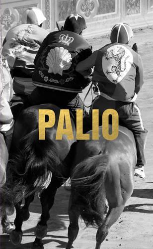  «PALIO            HB» - фото №1