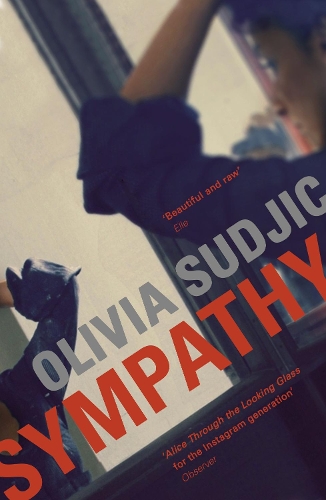 Бумажная книга «Sympathy», автор Оливия Суджич - фото №1