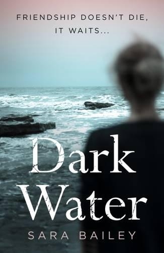 Паперова книга «Dark Water», автор Сара Бейлі - фото №1