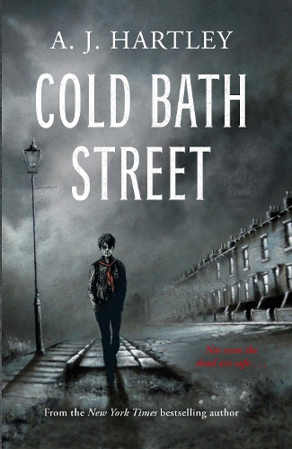 Паперова книга «Cold Bath Street», автор A.Дж. Хартлі - фото №1